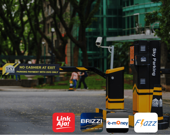 Evolution timeline image